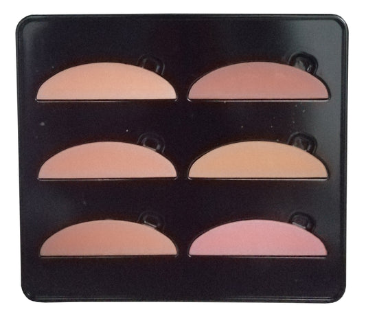 Best Color Palette 6 Fard Professionale