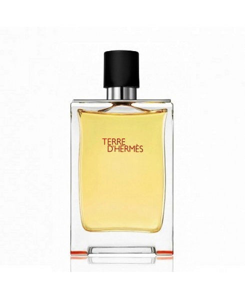 Terre D'Hermes - TESTER - 100 ml edt. Spray
